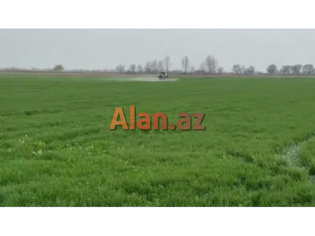 Torpaq satşı qəbələdə
