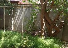 8ci mik 3 mertebeli 12 otaqli villa icareye verilir