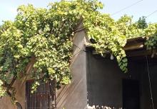 Buzovnada bağ evi satılır