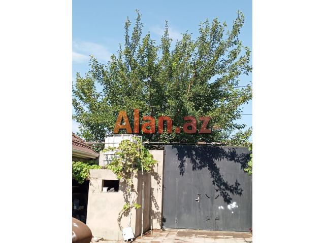 Buzovnada bağ evi satılır