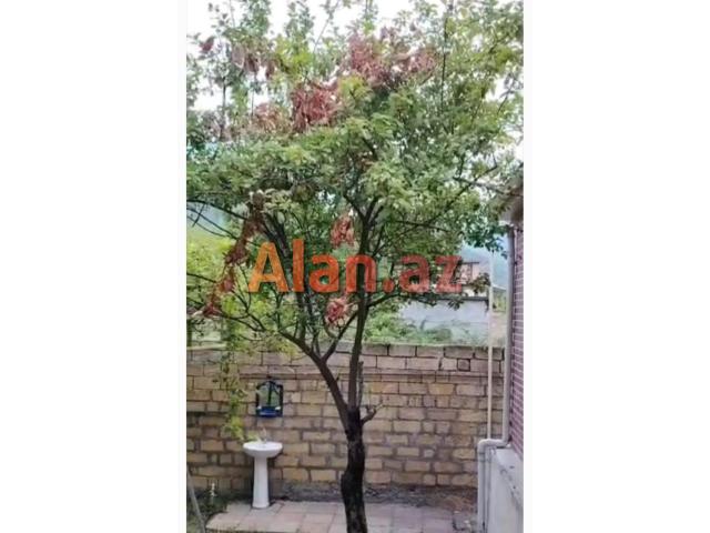 Ismayillinin Buynuz kendinde 4 otaqli heyet evi satilir