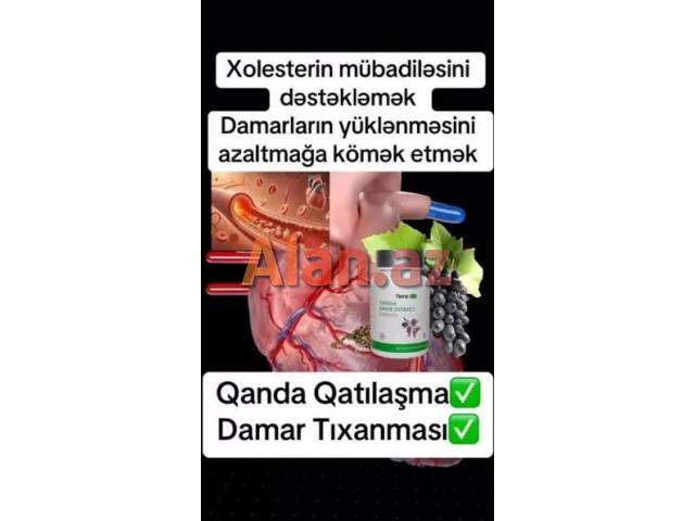 Xolikan-Ürək Qan-Damar Qara Ciyər s