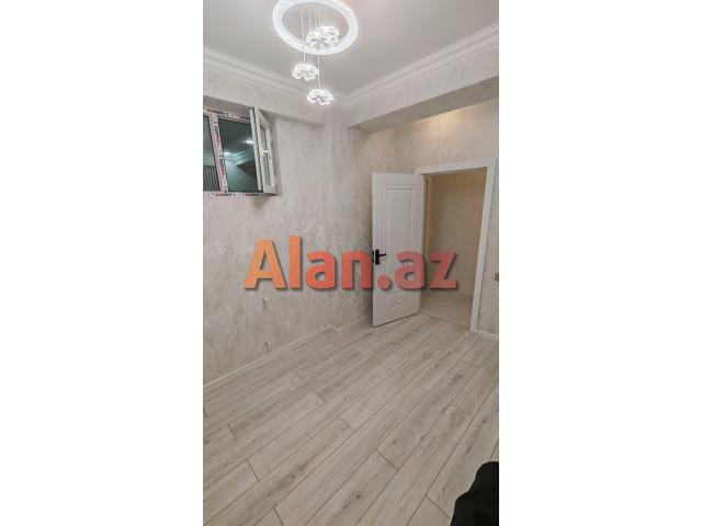 Yeni  tikili