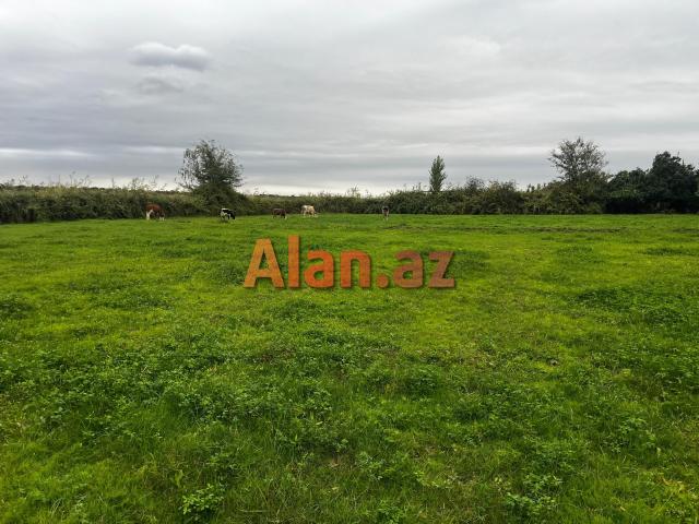 Hazir biznes satilir