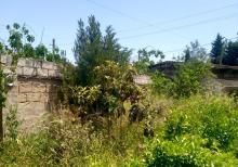 Buzovnada həyət evi satılır