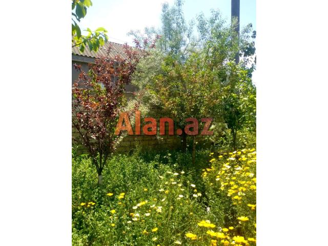 Buzovnada həyət evi satılır