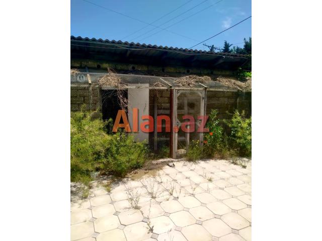 Buzovnada həyət evi satılır