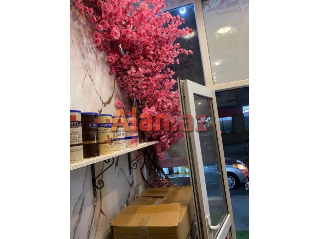 koffe aparati və marojna aparati