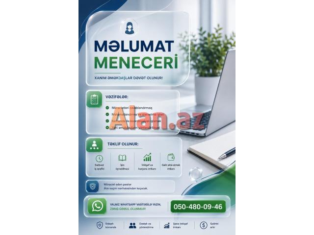 Məlumat Meneceri Xanımlar Tələb Olunur