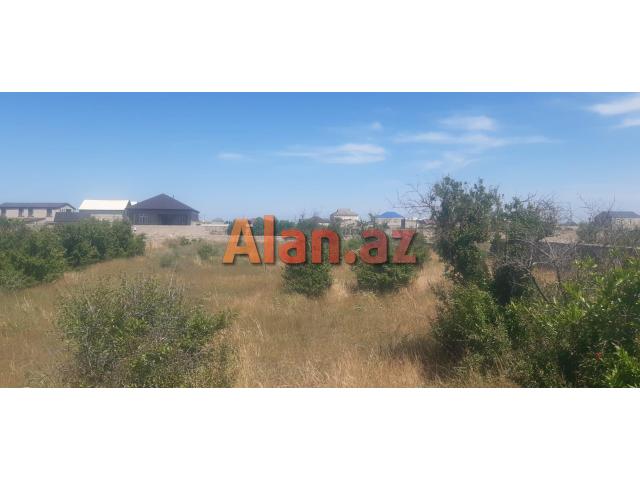 Qalada torpaq sahəsi satılır