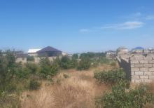 Qalada torpaq sahəsi satılır