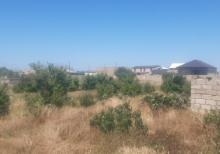 Qalada torpaq sahəsi satılır