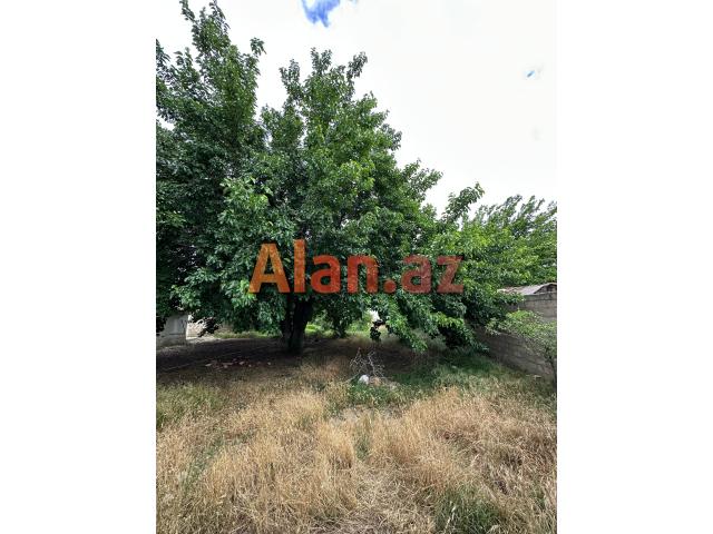 Ceyranbatanda torpaq sahəsi satılır