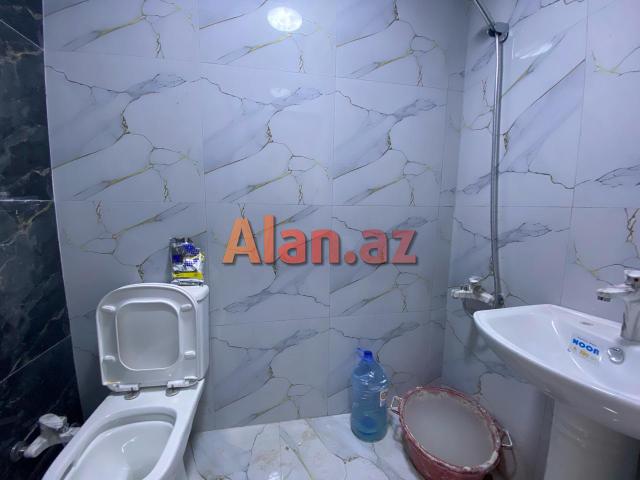 Yeni  tikili