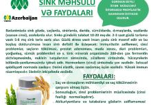 BioSink- Prostat,Göz, Dəri, Cinsi zəiflik, Saç, Dırnaq,Hamilə və s.