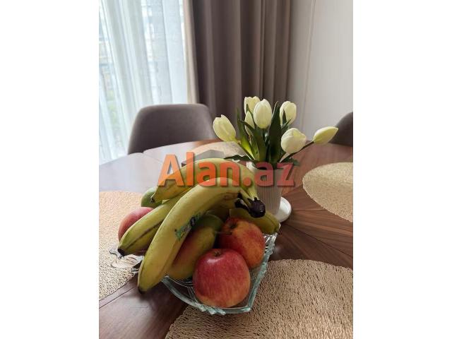 Axtardığınız Mənzil və Ev Buradadır