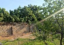 Daşinmaz əmlak