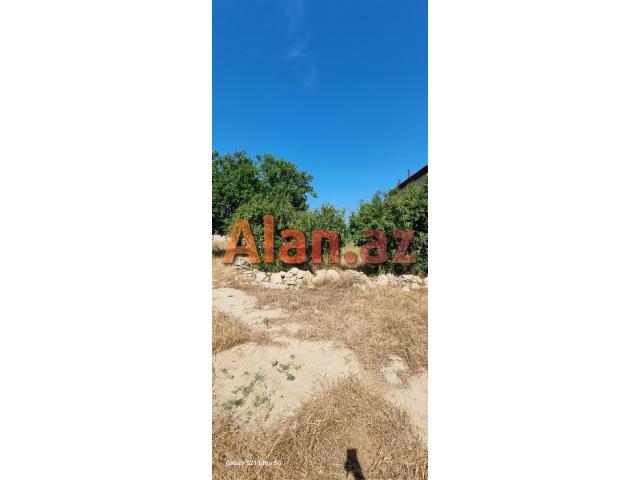 Albalılıqda torpaq sahəsi satılır