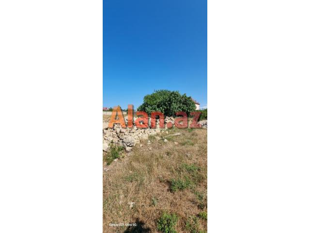 Albalılıqda torpaq sahəsi satılır