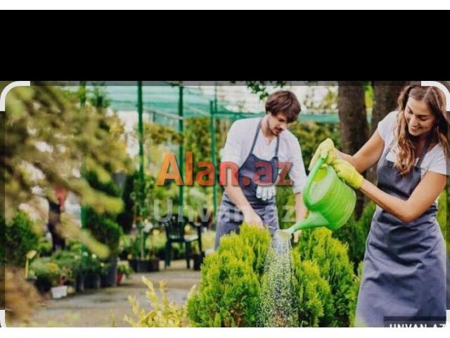 Bağ evi işi axtarırıq