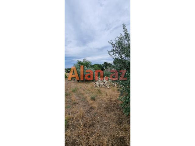 Albalılıqda torpaq satılır