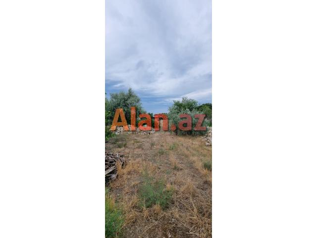 Albalılıqda torpaq satılır