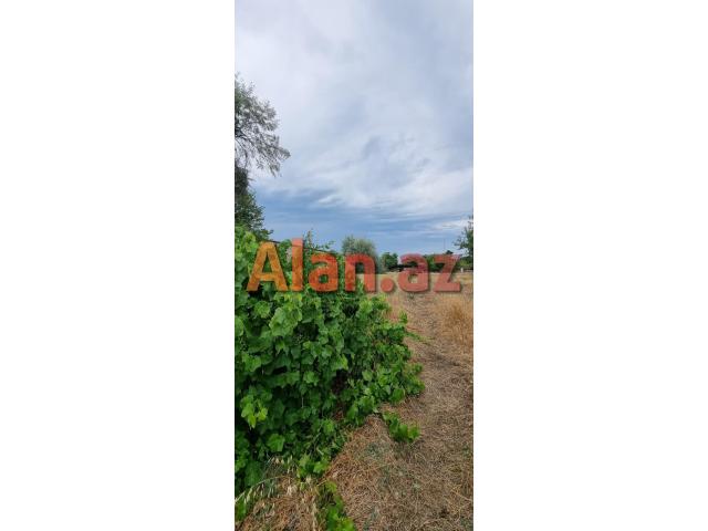 Albalılıqda torpaq satılır
