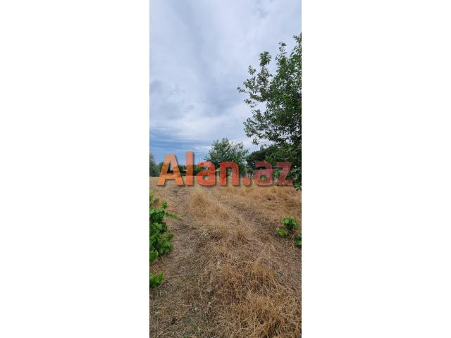 Albalılıqda torpaq satılır