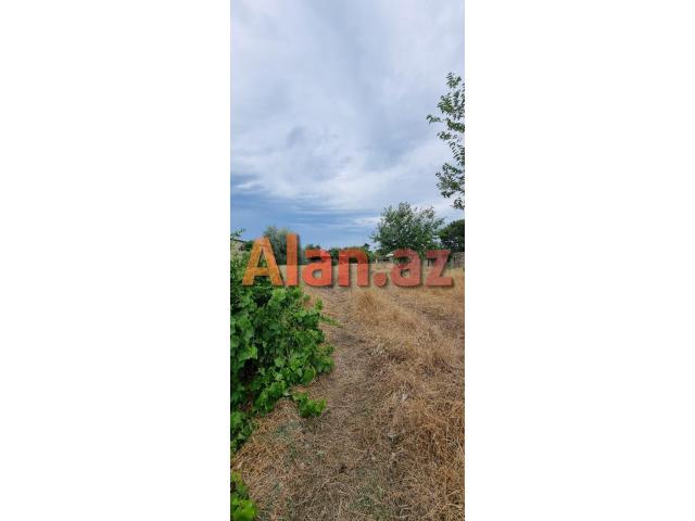 Albalılıqda torpaq satılır