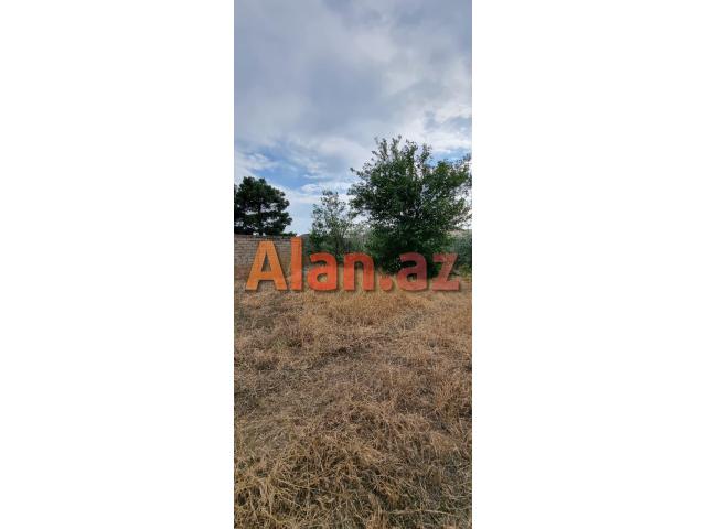 Albalılıqda torpaq satılır