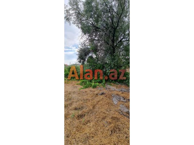 Albalılıqda torpaq satılır