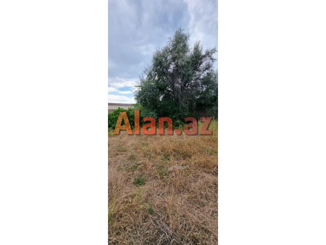 Albalılıqda torpaq satılır