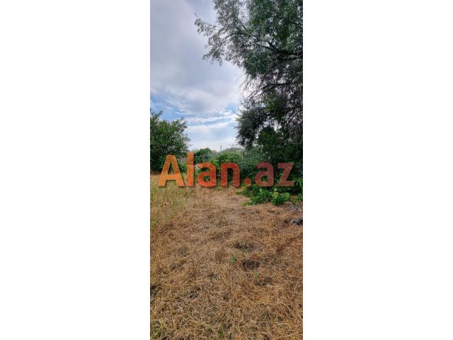 Albalılıqda torpaq satılır