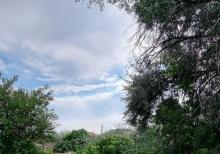 Albalılıqda torpaq satılır