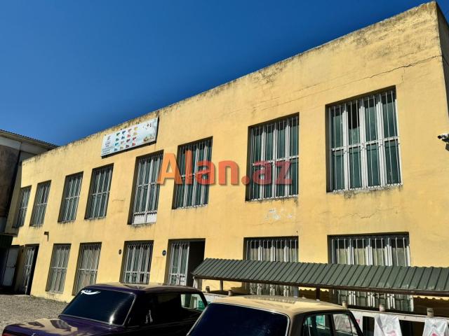 Cəlilabad rayonu Qurtuluş kücəsi