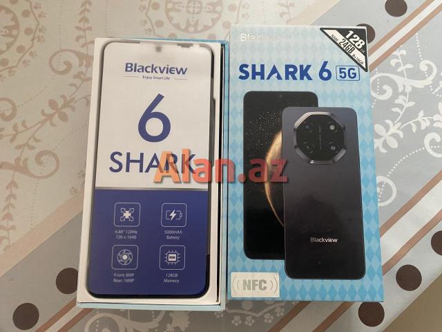 Shark6