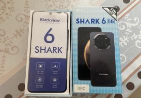 Shark6