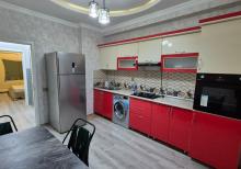Yeni  tikili
