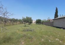 saray qesebesinde Villa Badam terefde 16,5 sot torpaq satilir