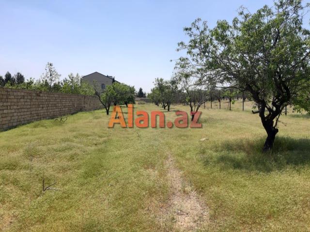 saray qesebesinde Villa Badam terefde 16,5 sot torpaq satilir