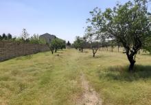 saray qesebesinde Villa Badam terefde 16,5 sot torpaq satilir