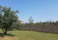 saray qesebesinde Villa Badam terefde 16,5 sot torpaq satilir