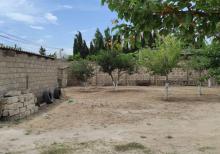 Buzovnada torpaq sahəsi satılır