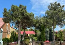 Şağanda Villa satılır