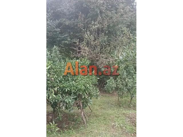 Ağstafa rayonu