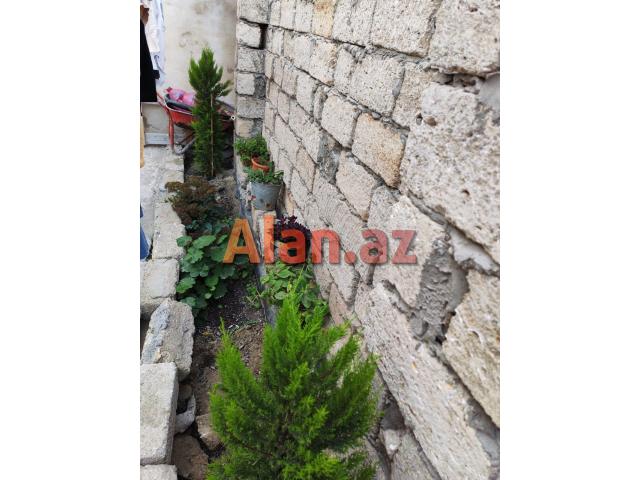 Buzovnada həyət evi satılır