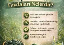 Spirulina-Şiş,Anemiya Dəmir və Qan Azlığı Göz Saç Dəri Hamilə Arıqlamaq-Kökəlmək və s.
