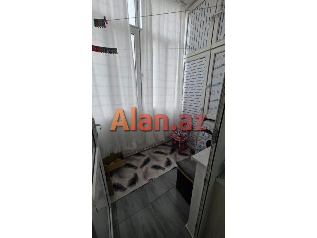 Yeni tikili