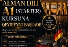 Alman dili