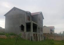 Şamaxı